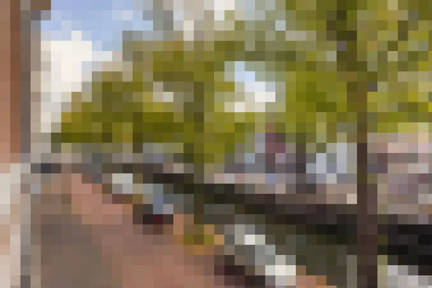 Houtweg 55 Den Haag thumbnail 51