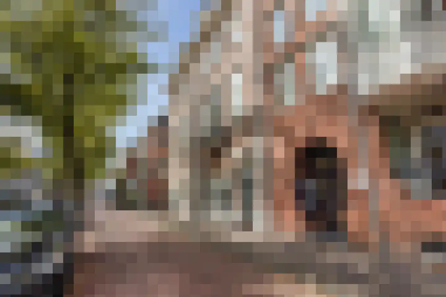 Houtweg 55 Den Haag thumbnail 7