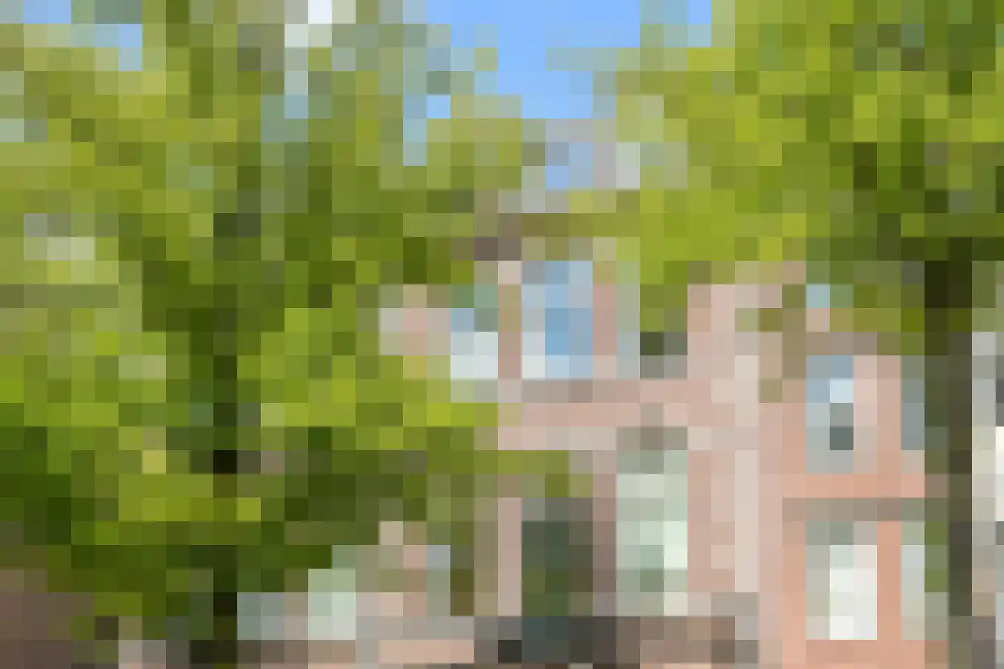 Houtweg 56 in Den Haag