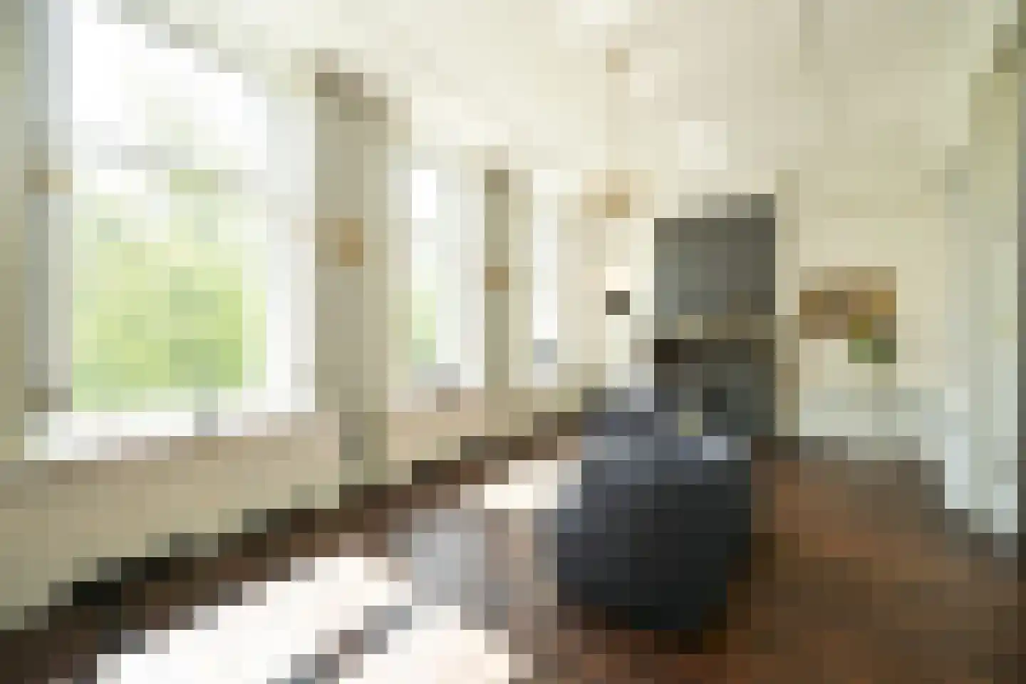 Houtweg 56 Den Haag thumbnail 28