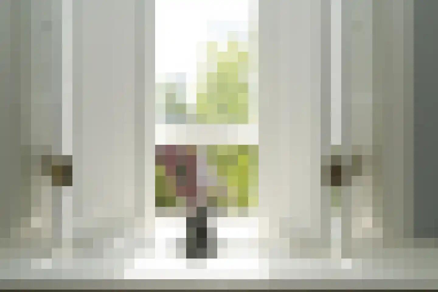 Houtweg 56 Den Haag thumbnail 32