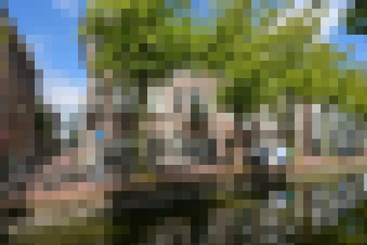 Houtweg 56 Den Haag thumbnail 7