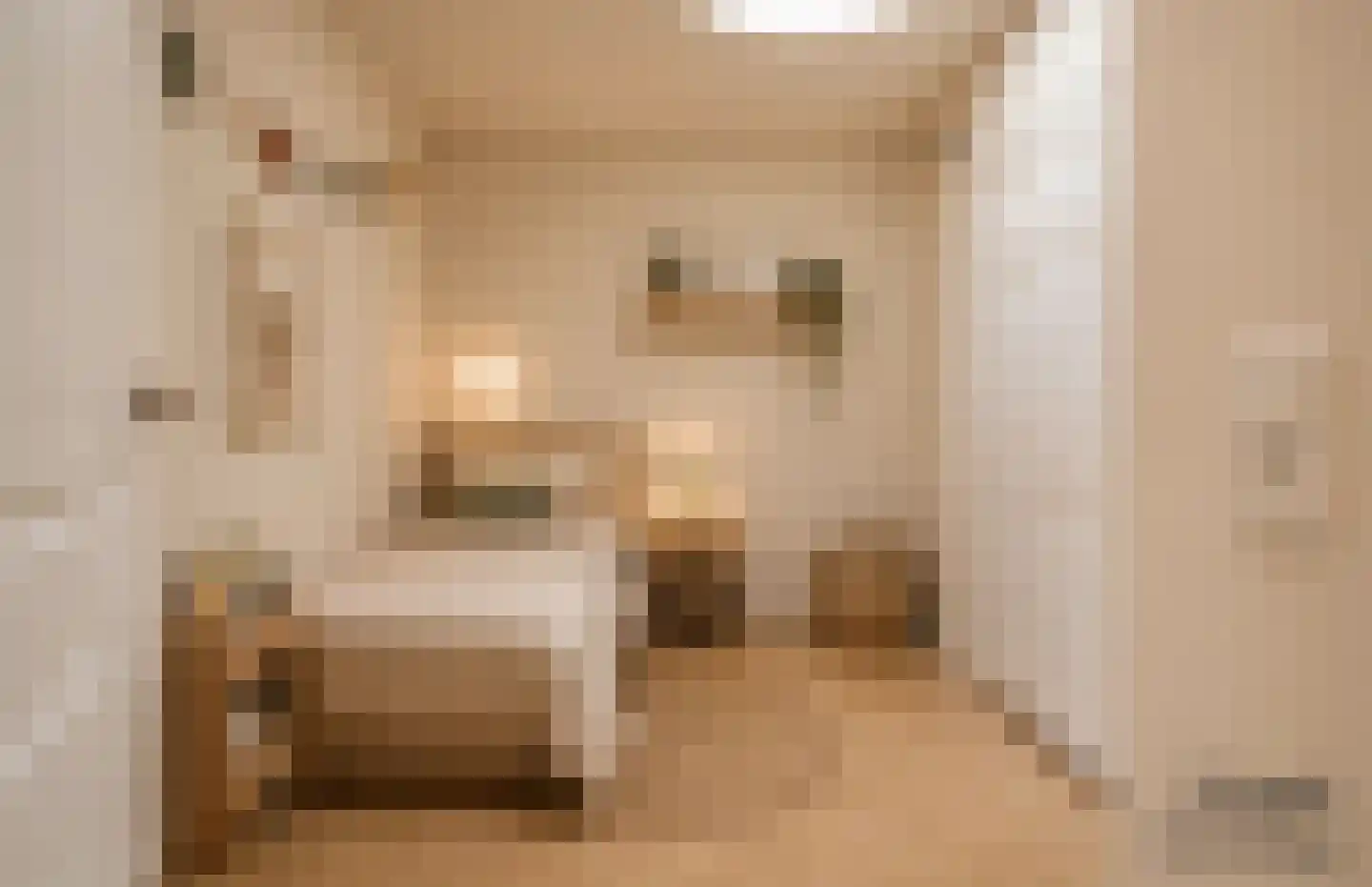 Houtweg 58 Den Haag thumbnail 22