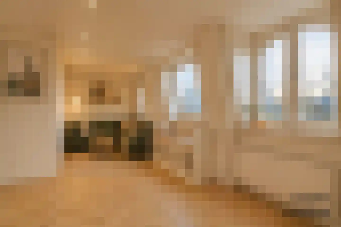 Houtweg 58 Den Haag thumbnail 7