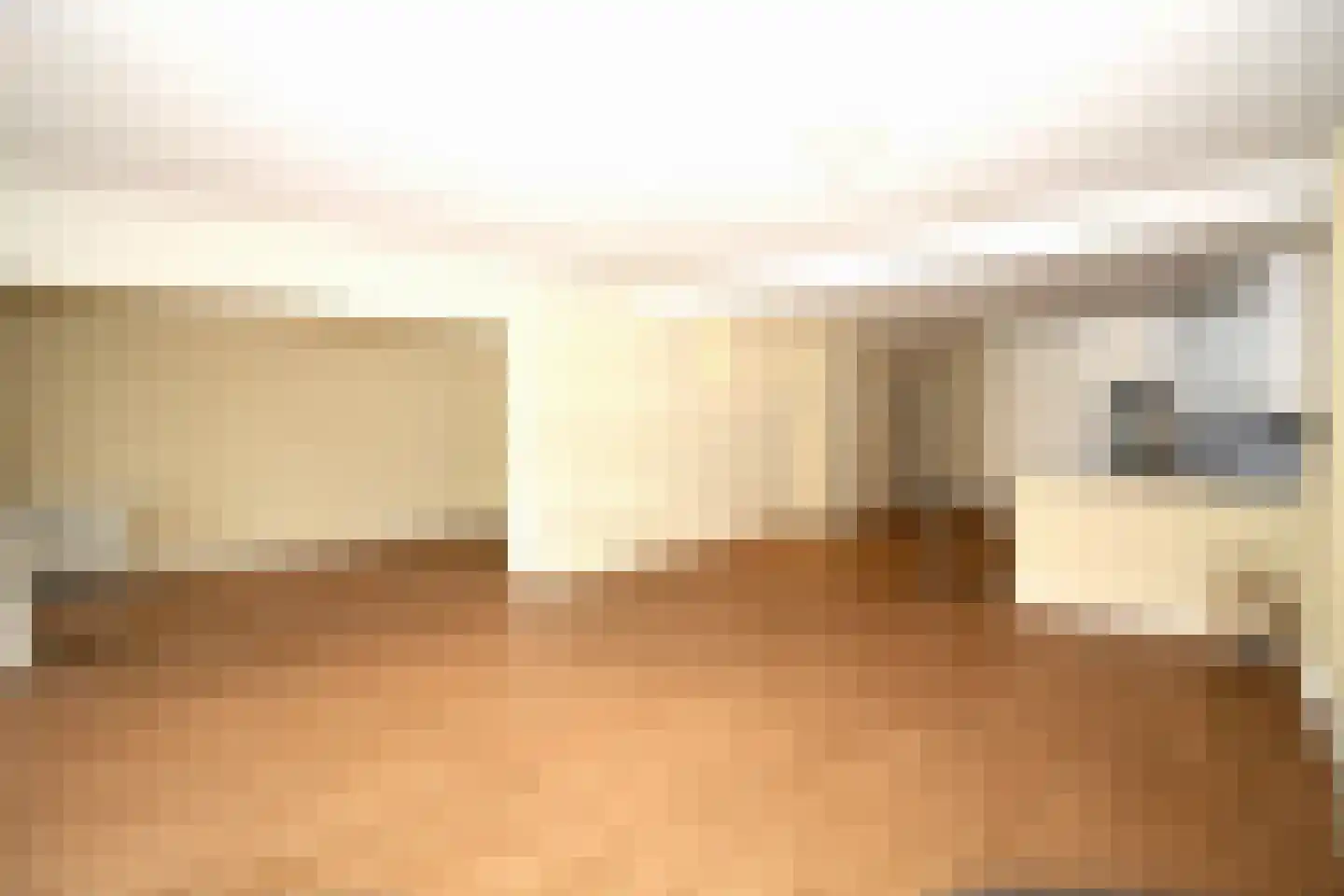 Houtweg 70 Den Haag thumbnail 10