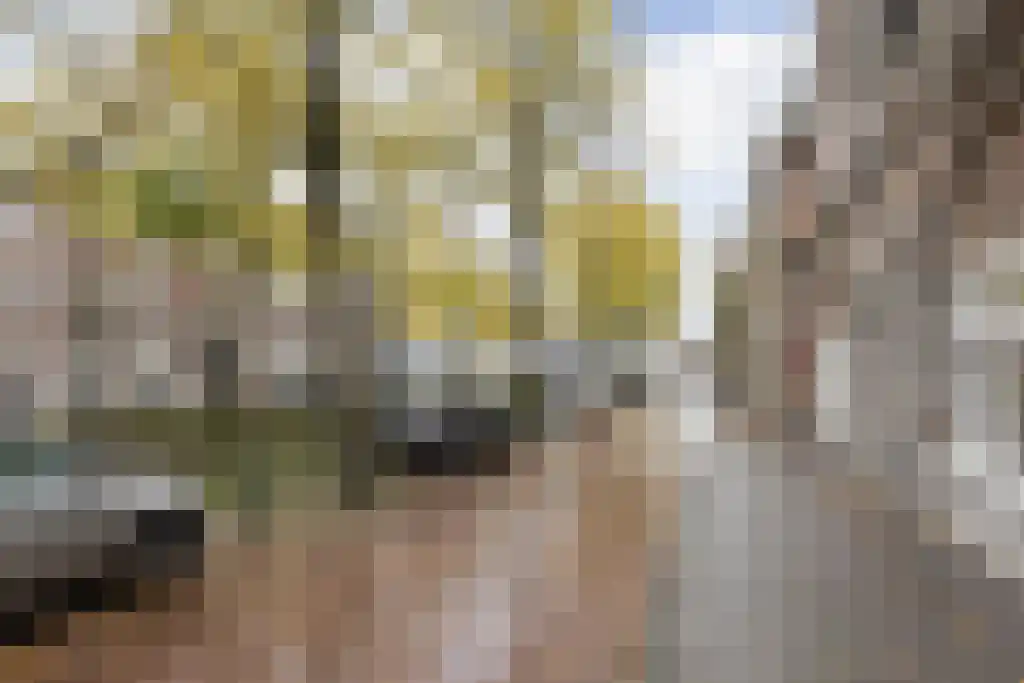 Houtweg 70 Den Haag thumbnail 19