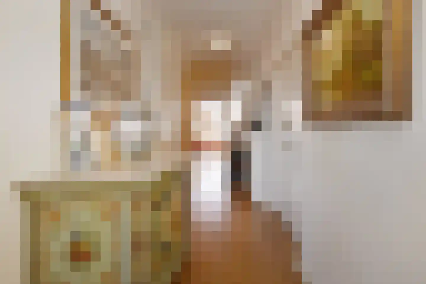 Houtweg 79 Den Haag thumbnail 14