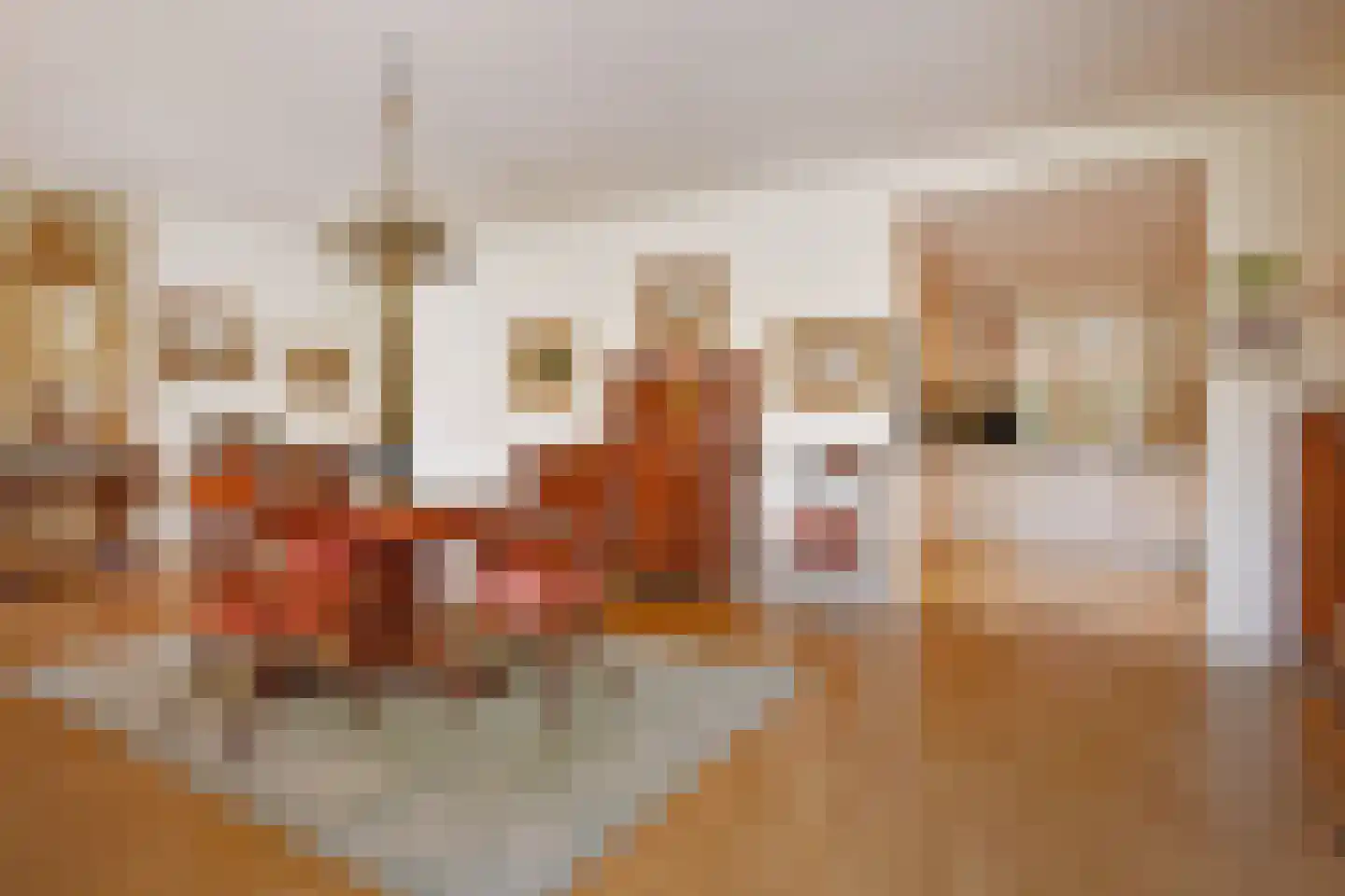 Houtweg 79 Den Haag thumbnail 19