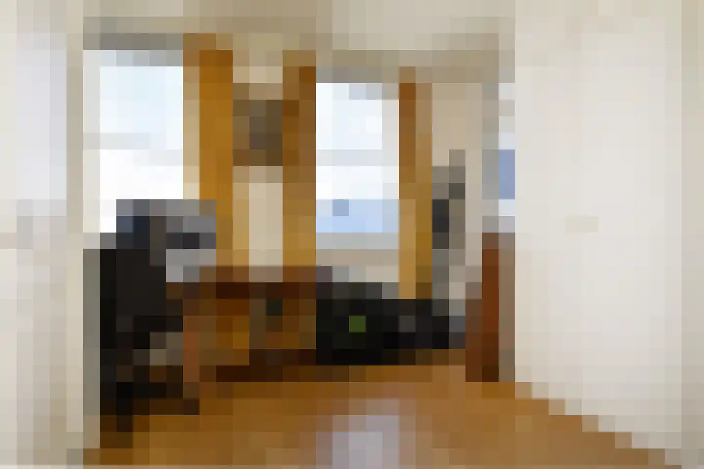Houtweg 79 Den Haag thumbnail 32