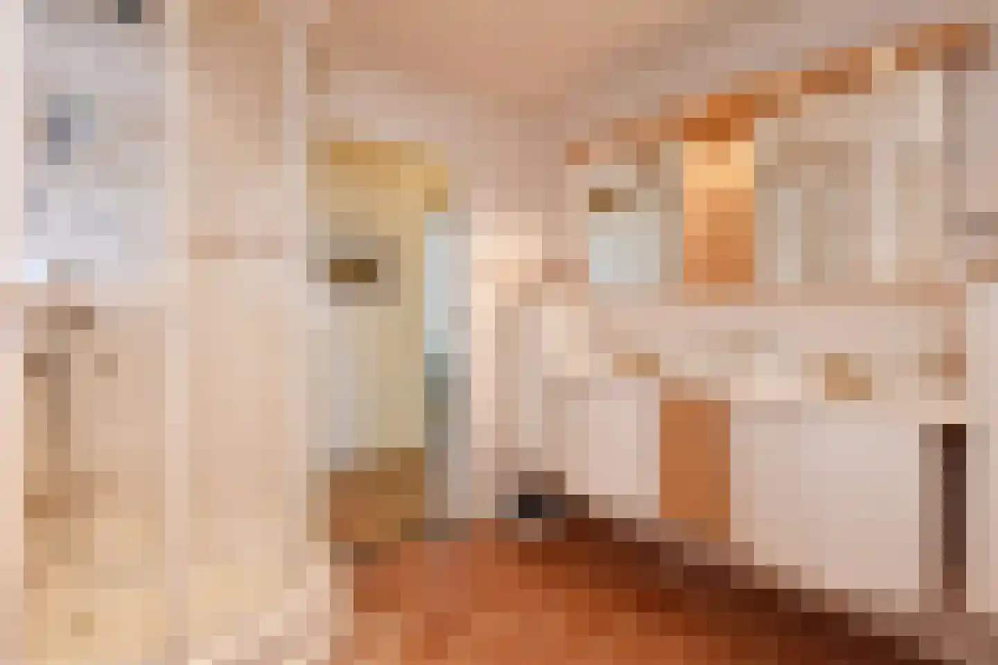 Houtweg 79 Den Haag thumbnail 38