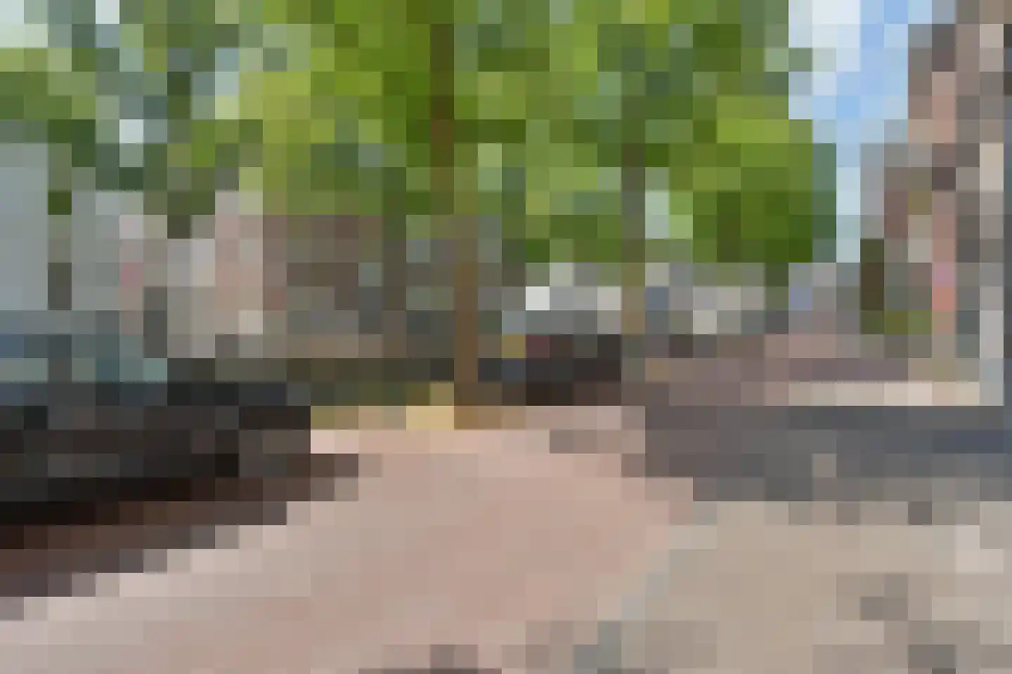 Houtweg 79 Den Haag thumbnail 41