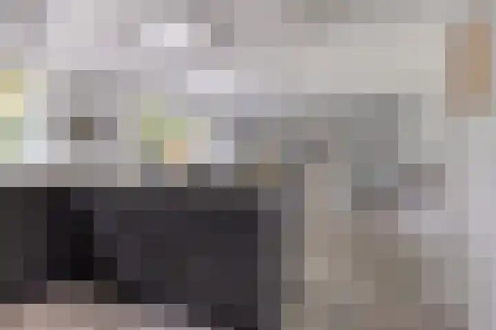 Houtweg 8 Holten thumbnail 11