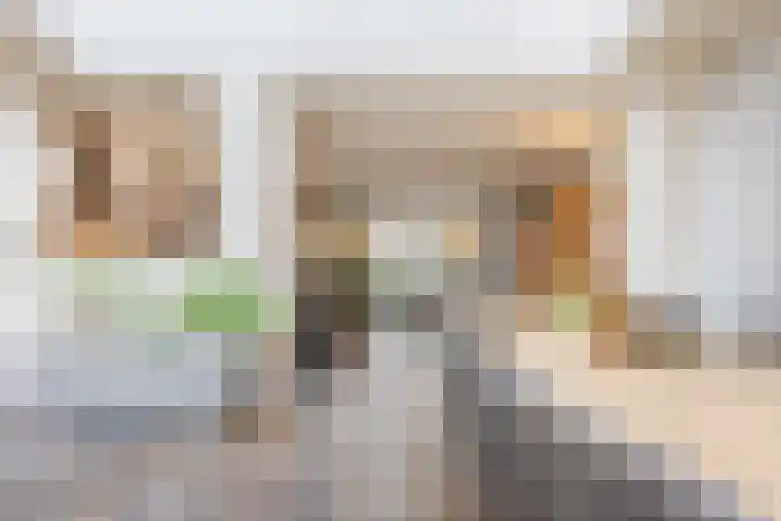 Houtweg 8 Holten thumbnail 12
