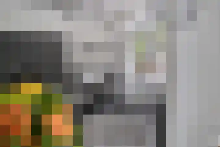 Houtweg 8 Holten thumbnail 13