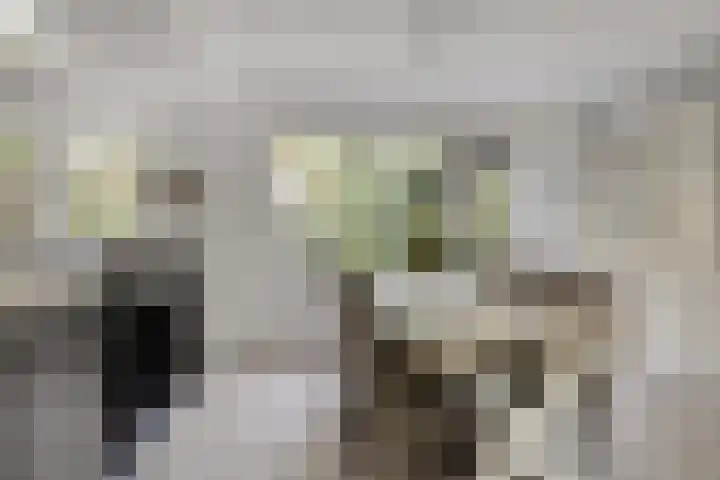 Houtweg 8 Holten thumbnail 14