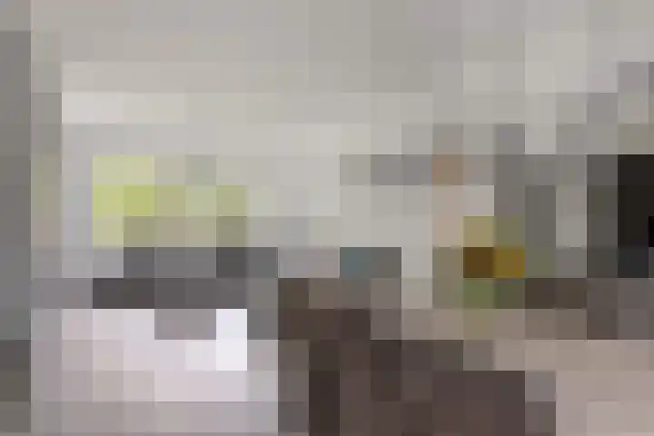 Houtweg 8 Holten thumbnail 15