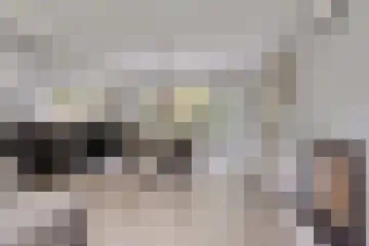 Houtweg 8 Holten thumbnail 17