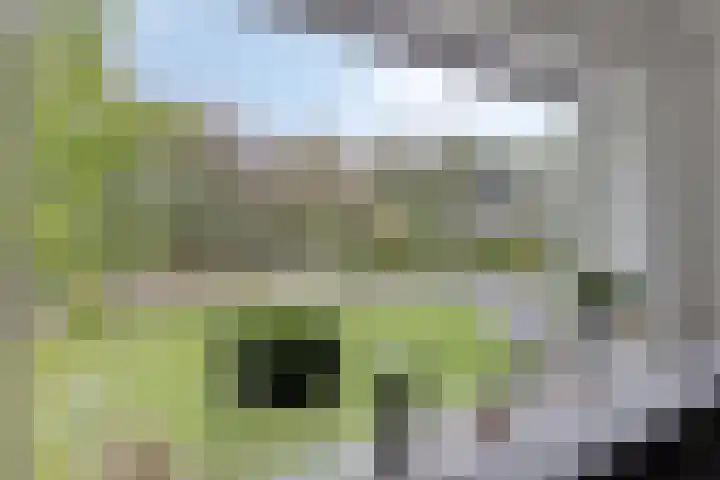 Houtweg 8 Holten thumbnail 21