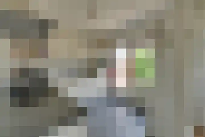 Houtweg 8 Holten thumbnail 33