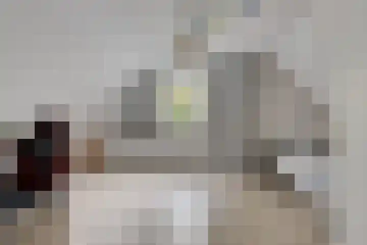 Houtweg 8 Holten thumbnail 34