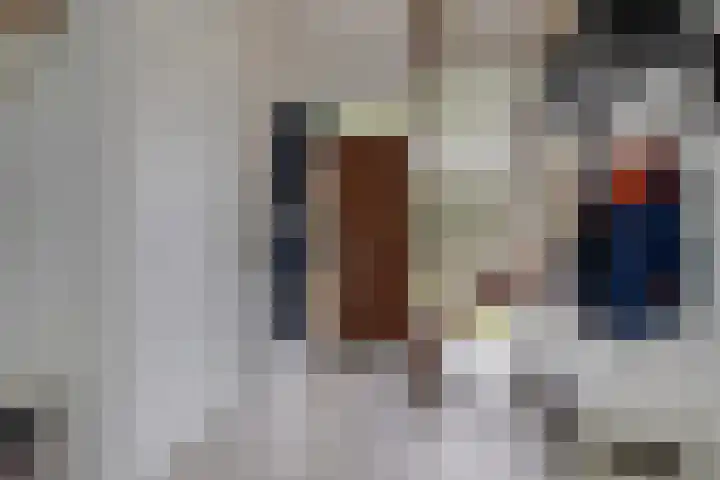 Houtweg 8 Holten thumbnail 4