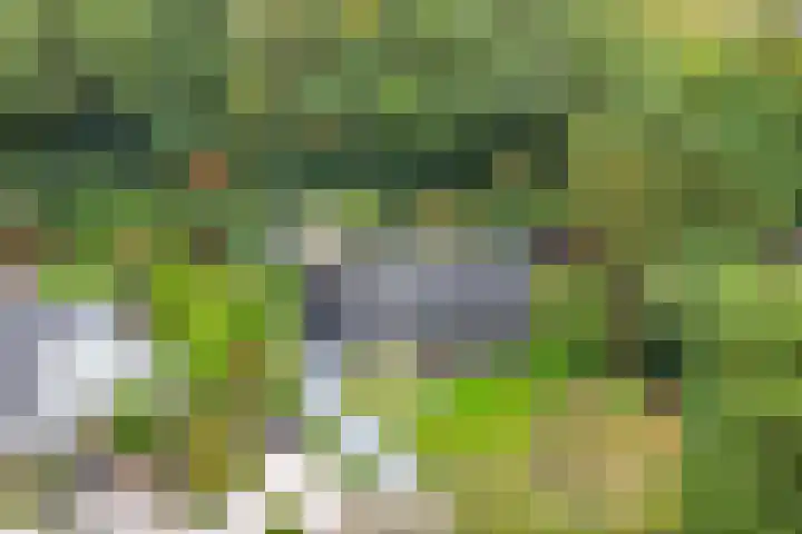 Houtweg 8 Holten thumbnail 44