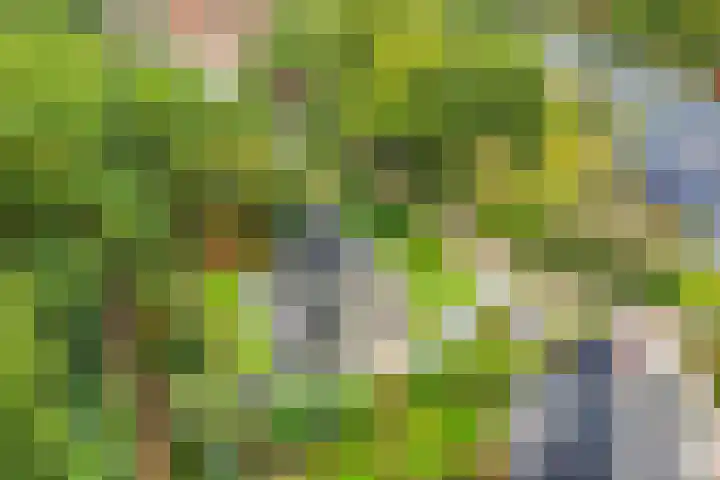 Houtweg 8 Holten thumbnail 45