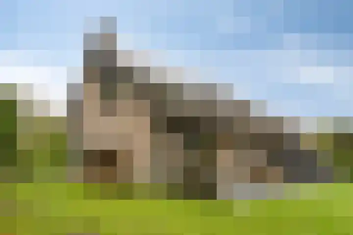 Houtweg 8 Holten thumbnail 46
