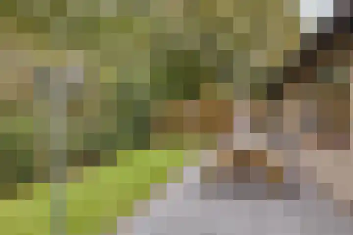 Houtweg 8 Holten thumbnail 47