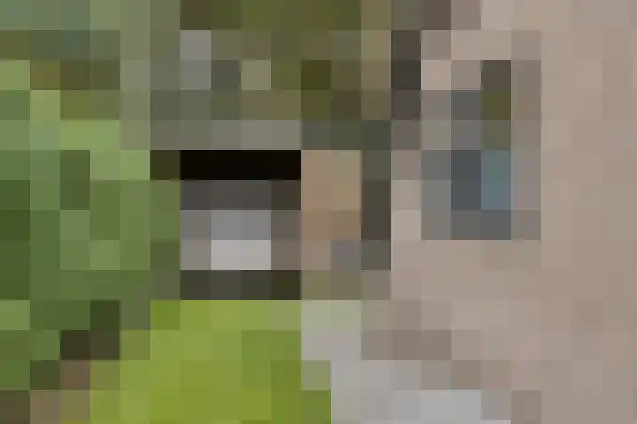 Houtweg 8 Holten thumbnail 48