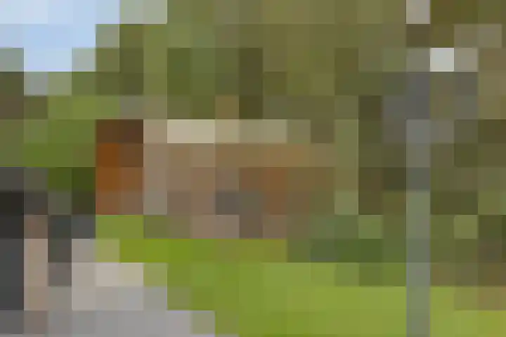 Houtweg 8 Holten thumbnail 49