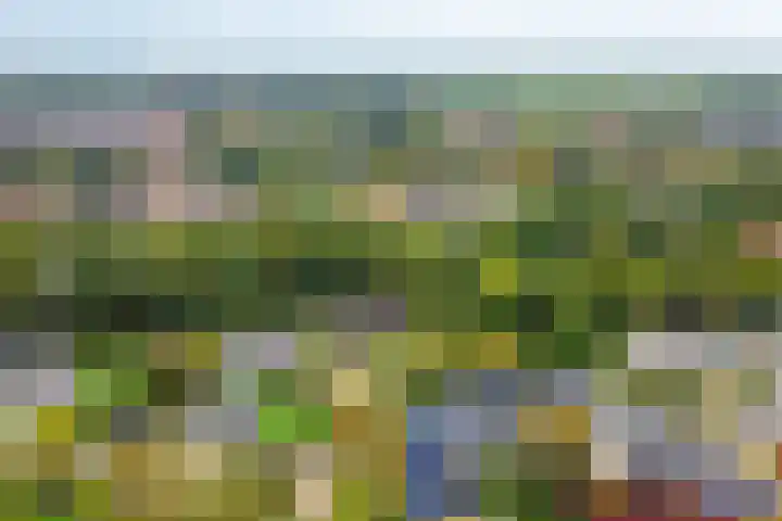 Houtweg 8 Holten thumbnail 50