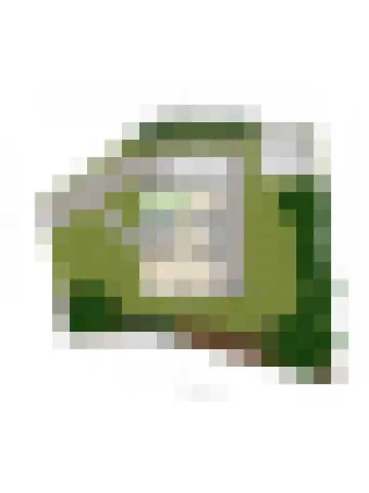 Houtweg 8 Holten thumbnail 51