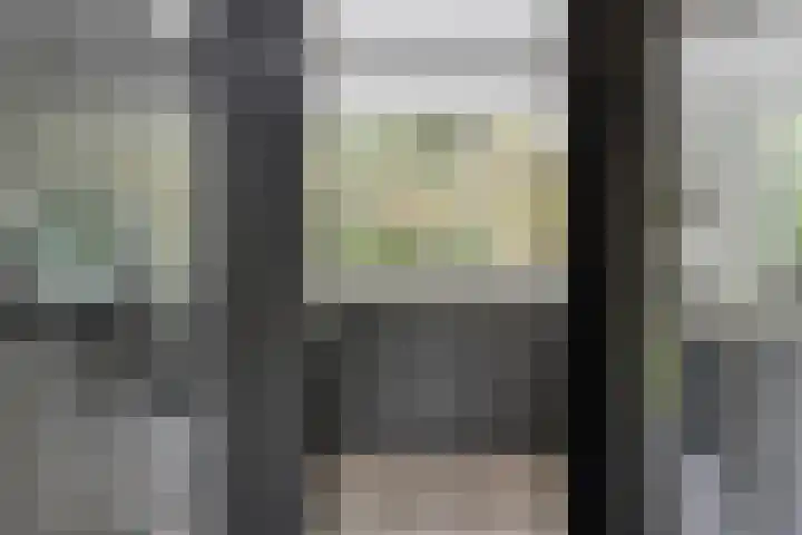 Houtweg 8 Holten thumbnail 6