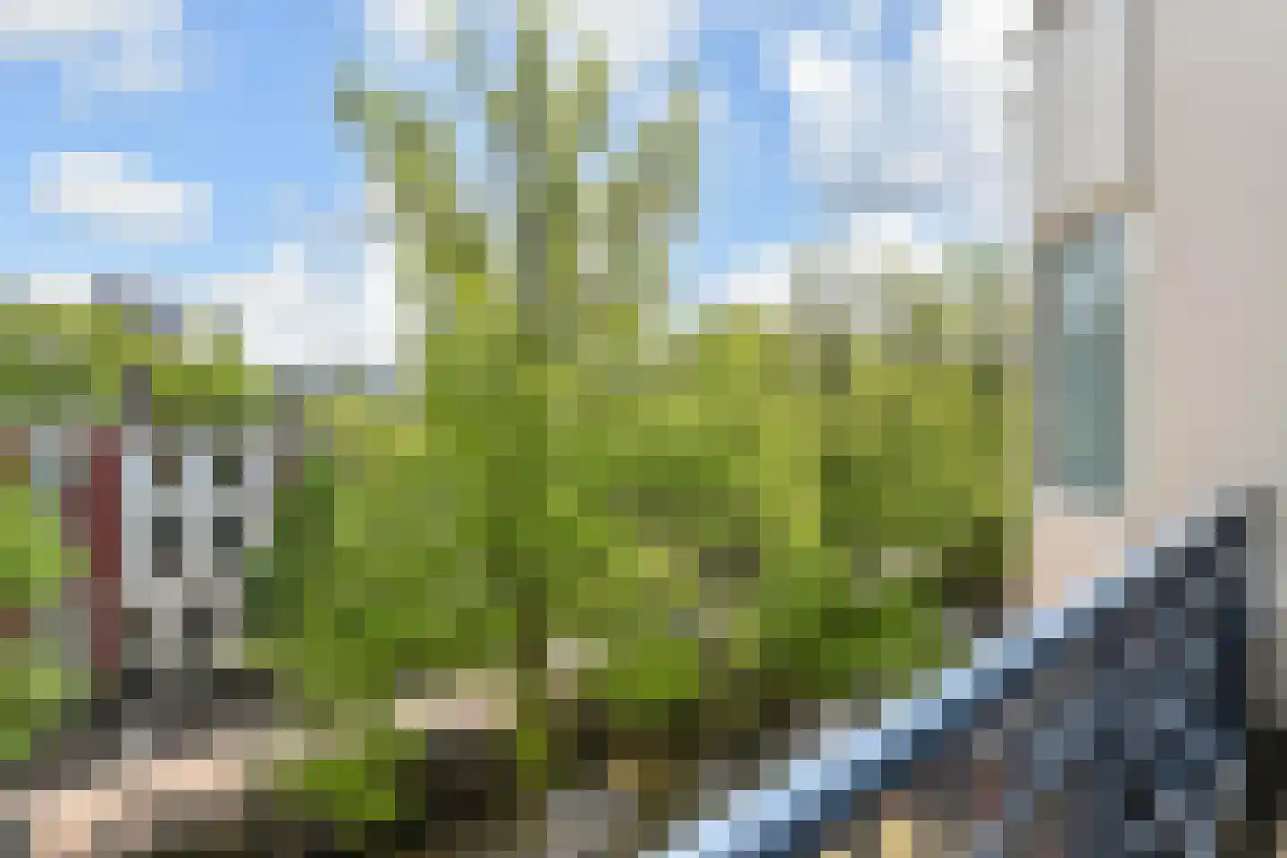 Houtweg 80 Den Haag thumbnail 22