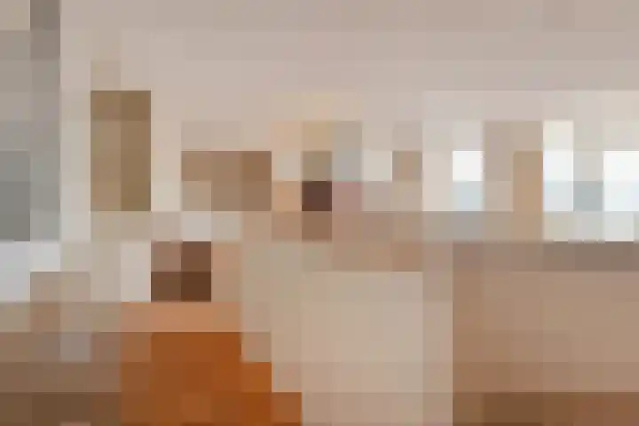 Houtweg 80 Den Haag thumbnail 27
