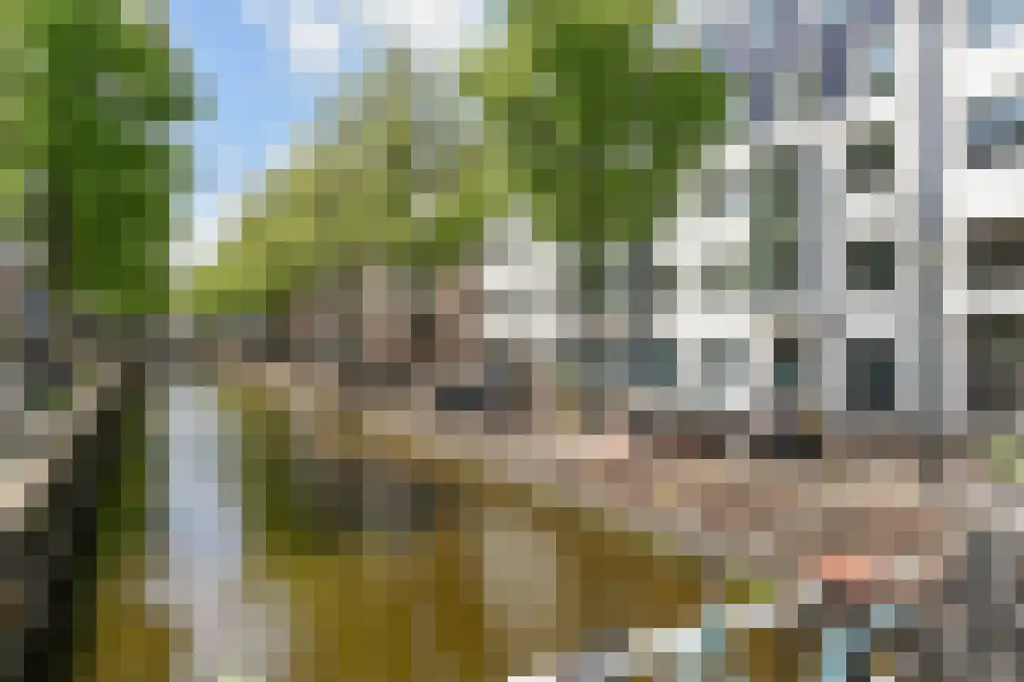 Houtweg 80 Den Haag thumbnail 36
