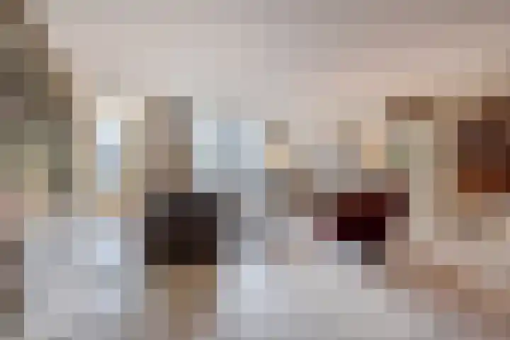Houtweg 80 Den Haag thumbnail 7