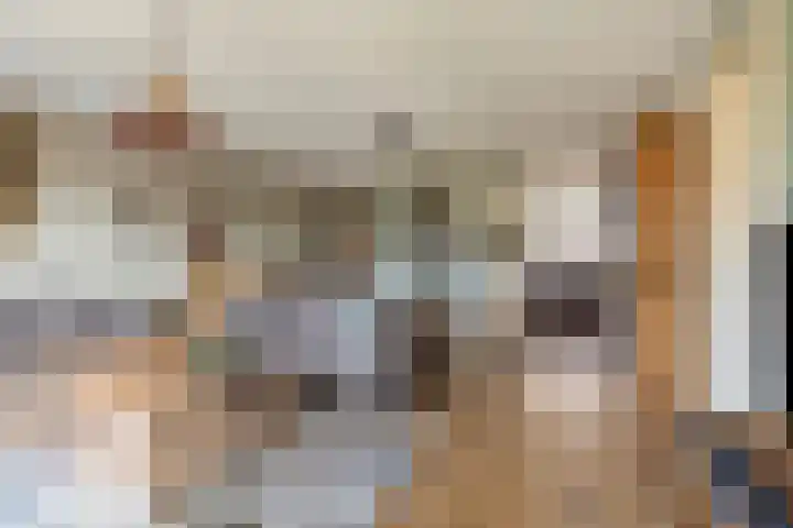 Houtwerf 13 Waarland thumbnail 12