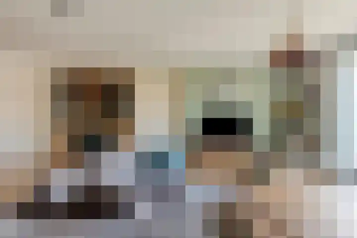 Houtwerf 13 Waarland thumbnail 14