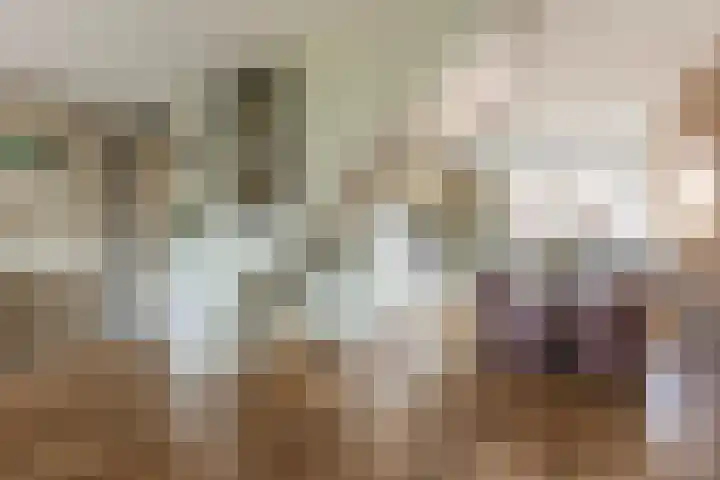 Houtwerf 13 Waarland thumbnail 17