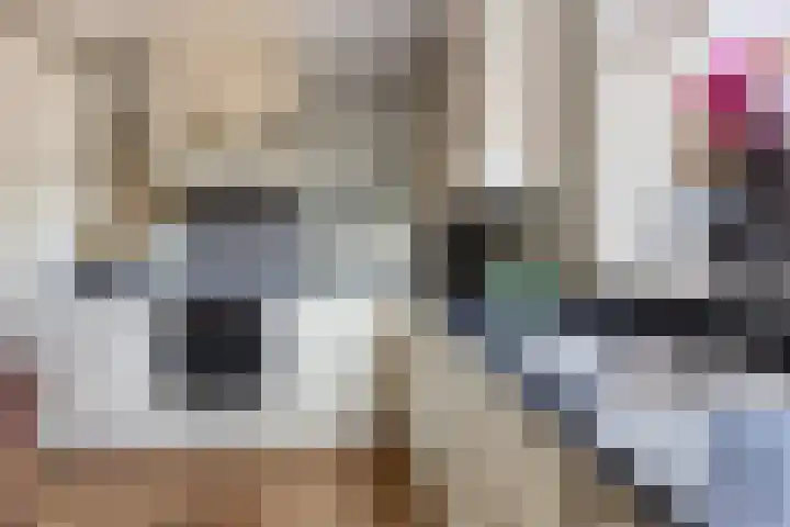 Houtwerf 13 Waarland thumbnail 20