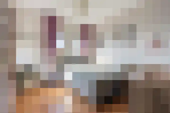 Houtwerf 13 Waarland thumbnail 28