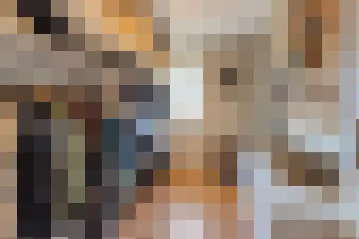 Houtwerf 13 Waarland thumbnail 31