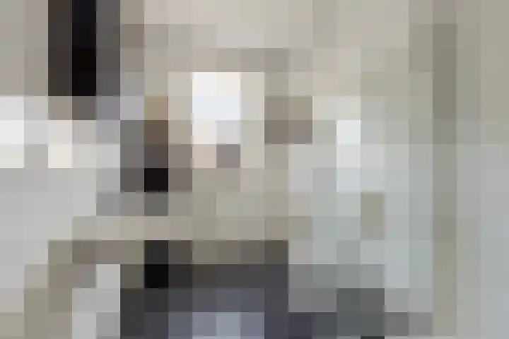 Houtwerf 13 Waarland thumbnail 33
