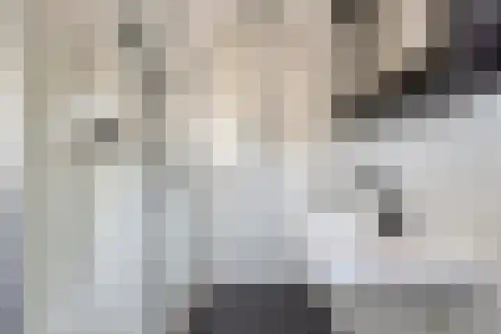 Houtwerf 13 Waarland thumbnail 34