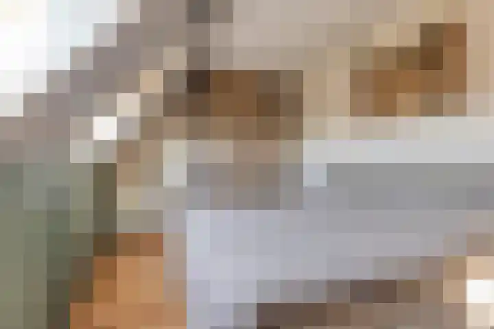 Houtwerf 13 Waarland thumbnail 37