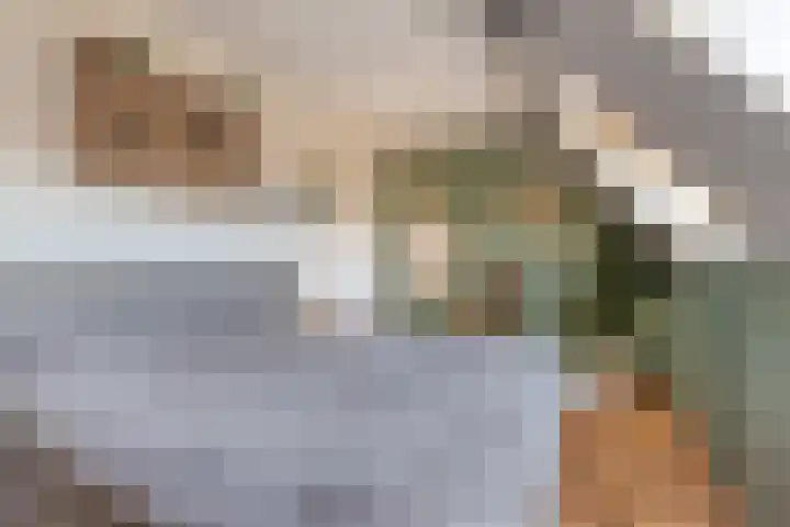Houtwerf 13 Waarland thumbnail 38