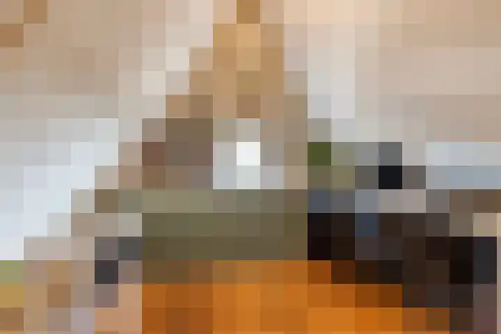 Houtwerf 13 Waarland thumbnail 42