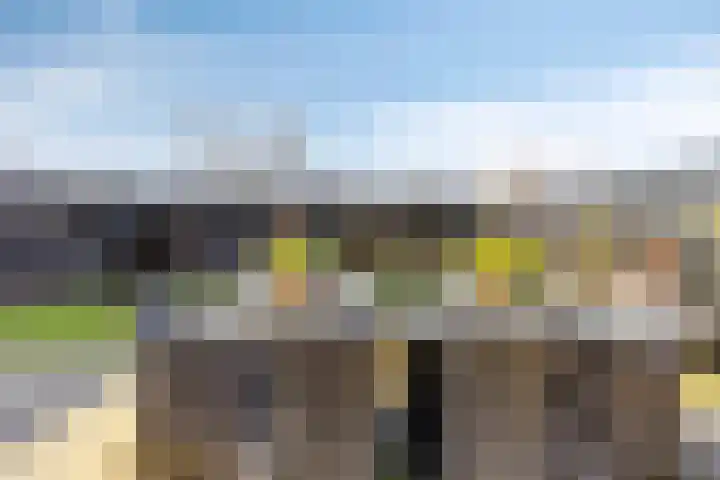 Houtwerf 13 Waarland thumbnail 44